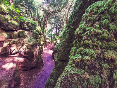 神奇的Puzzlewood