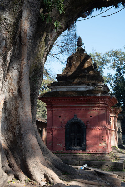 Pashupatinath印度教寺庙加德满都，尼泊尔亚洲