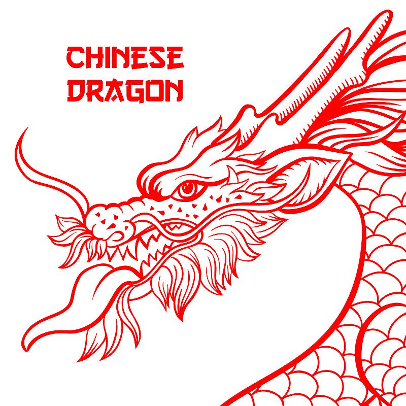 中国龙手绘等高线画