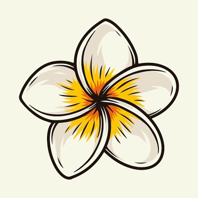 五颜六色的鸡蛋花，热带的花