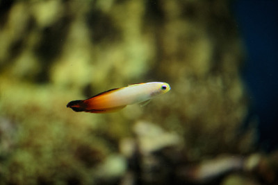 水族馆