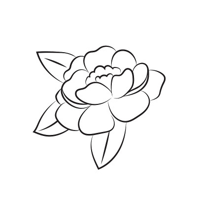 牡丹花画线。分枝上的孤立的芽。破旧别致的卡片和请柬