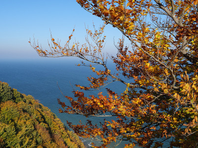 鲁根岛