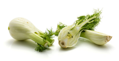 茴香孤立