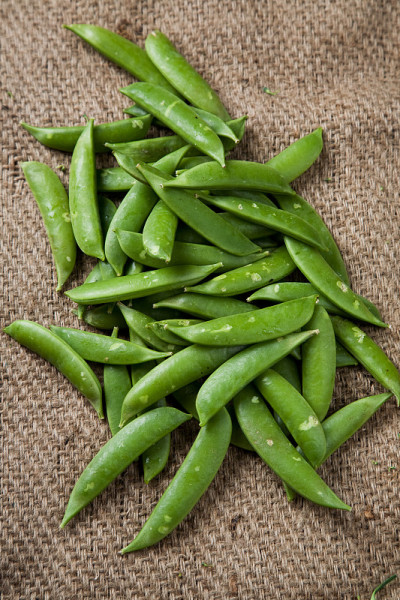 豌豆