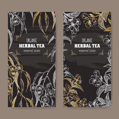 两个标签桉树和茉莉花茶在黑色的背景。