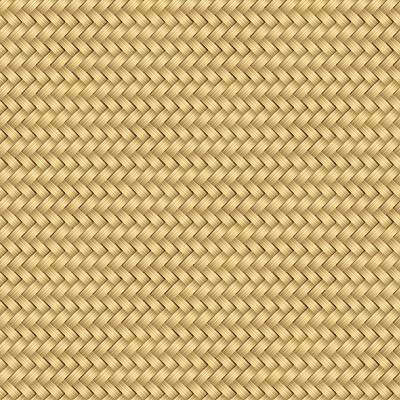 柳条模式