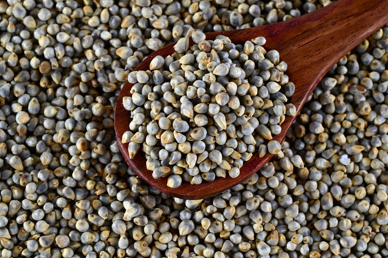 珍珠小米(Bajra)的特写，用木勺。