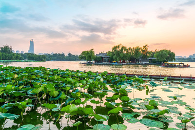 大明湖美丽的风景