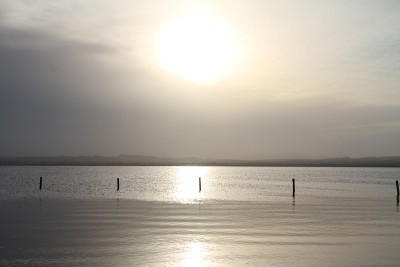 Torrevieja的粉红色的湖