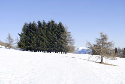 雪