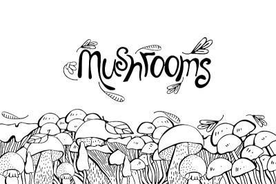 Mushroom drawing vector seamlees border. Isolated 