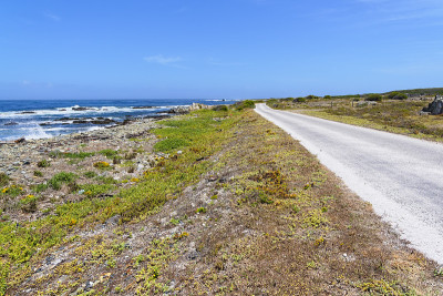 一条狭窄的道路平行于罗本岛的岩石海岸