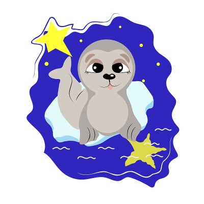 小海豹在浮冰上
