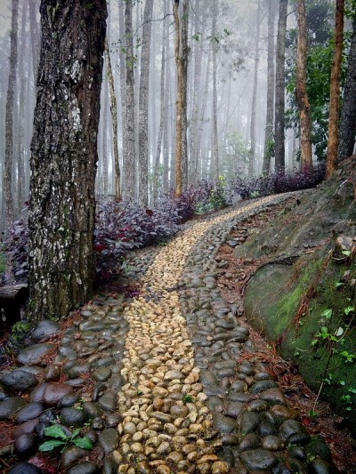 路径