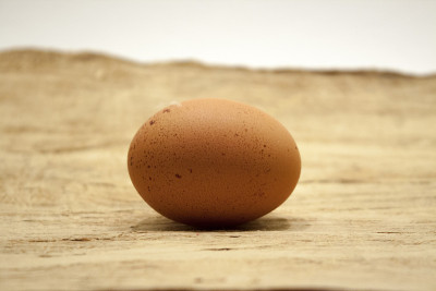 egg_brown_on_wood_lying