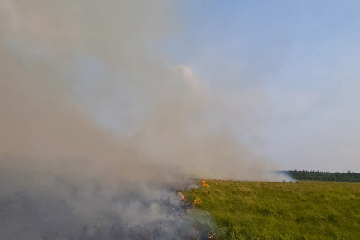 森林前面的沼泽地着火了。Yauta