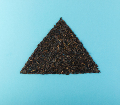 Raw Black Wild Rice on Blue Paper Background