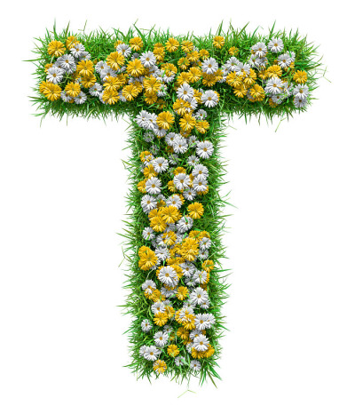 字母T的绿色的草和花