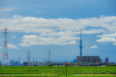 松户从乡下剪下来