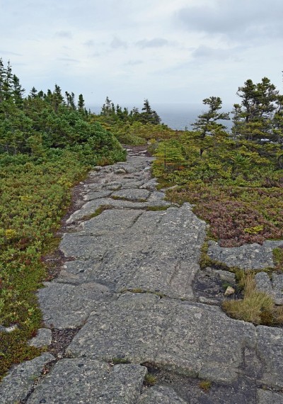 东海岸徒步旅行路线，NL加拿大