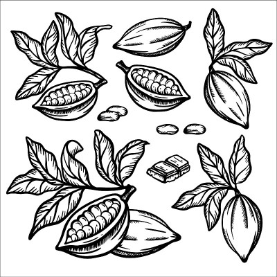 巧克力可可单色素描剪辑艺术矢量插图集