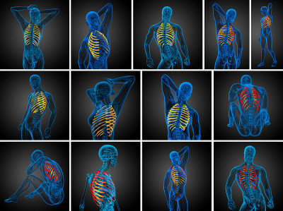 胸腔的3d渲染医学插图