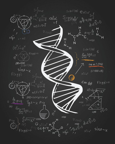 DNA与分子研究