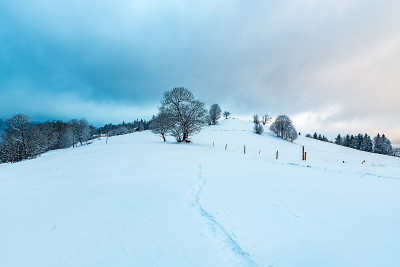 冬天在波兰Beskid Slaski山脉的Cienkow