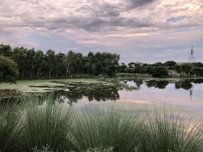 阴天的湖景