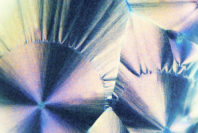 微晶核