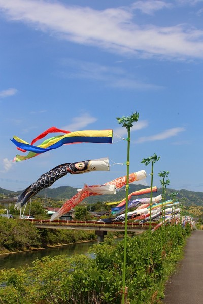 鲤鱼等浮电缆