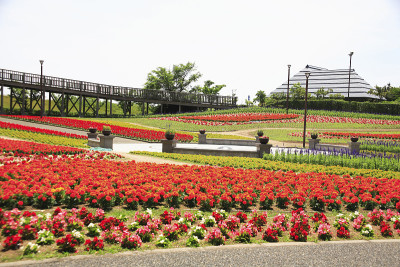 花