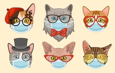 Cat in face mask. Cute heads cats muzzles in medic