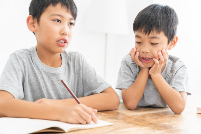 两个学习的兄弟，孩子，