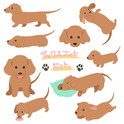 Dachshund set