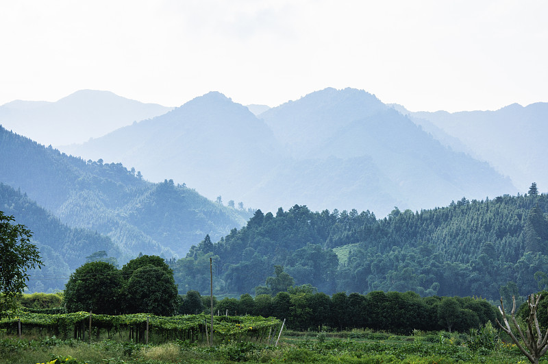 乡村和山景