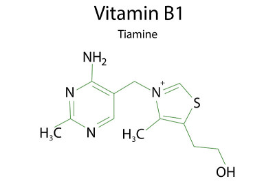 维生素b1保健配方设计。硫胺是一种健康食品。矢量插图。股票的照片。