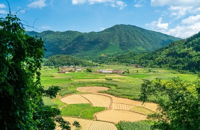 农场