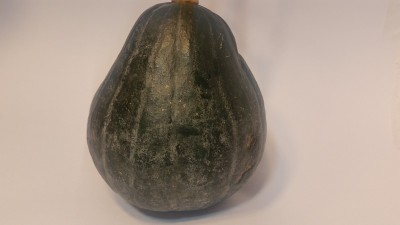 一个小南瓜