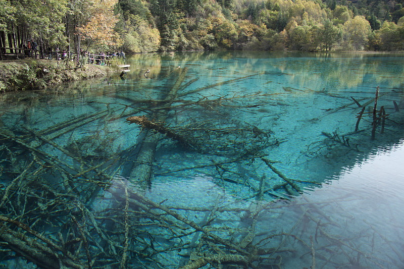 中国四川九寨沟风景优美