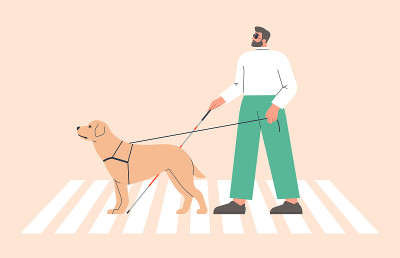 带着导盲犬在城市里行走的盲人。一名残疾人拿着手杖和导盲拉布拉多犬过马路。的行人的安全。