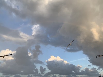 北迈阿密海滩