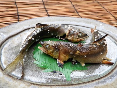 甜鱼8