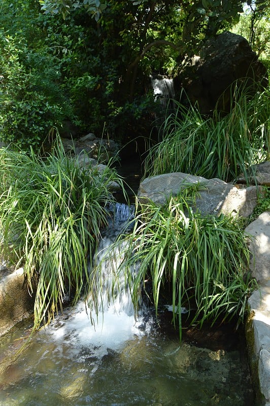 小溪流入绿色植物间的池塘，是公园里放松和冥想的舒适景观