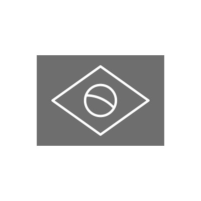 Flag of Brazil grey icon. Isolated on white backgr