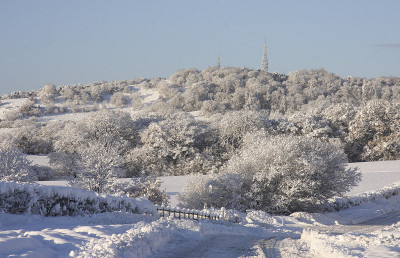 冬季雪景卡迪夫，南威尔士，英国