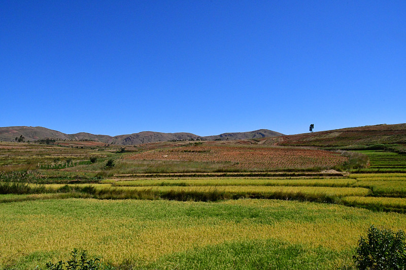 马达加斯加从塔那那利佛到莫龙达瓦的公路风景。梯田很漂亮。