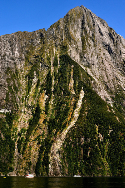 新西兰峡湾