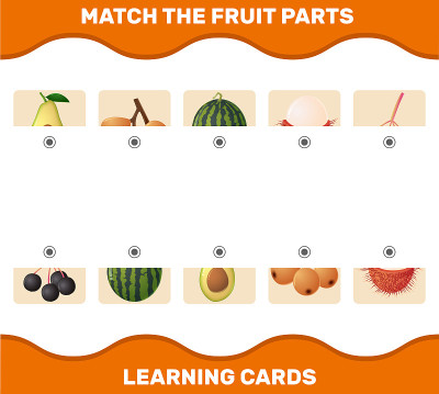 Match cartoon fruits parts. Matching game. Educati
